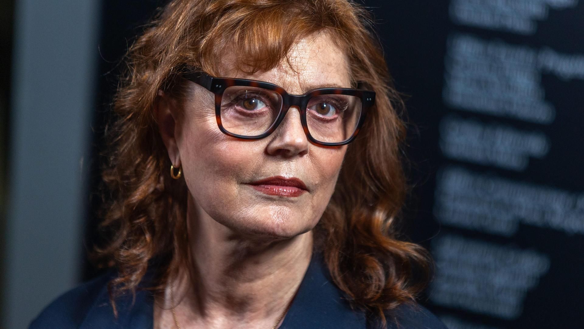 Susan Sarandon 2025