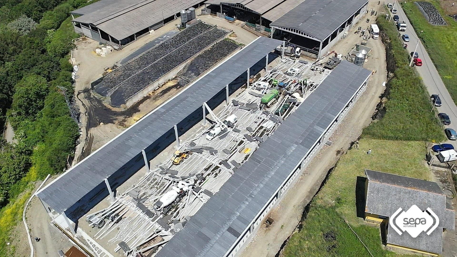 Tres muertos y tres heridos al colapsar una nave ganadera en Coaña, Asturias