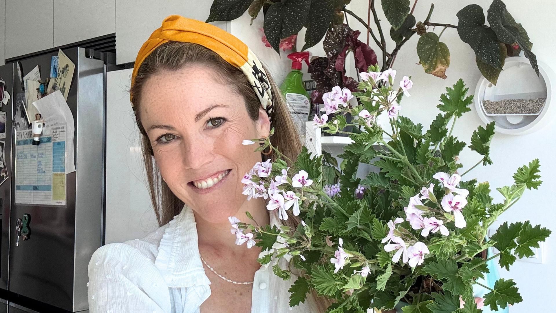 La planta decorativa y aromática que repele los mosquitos de tu cocina