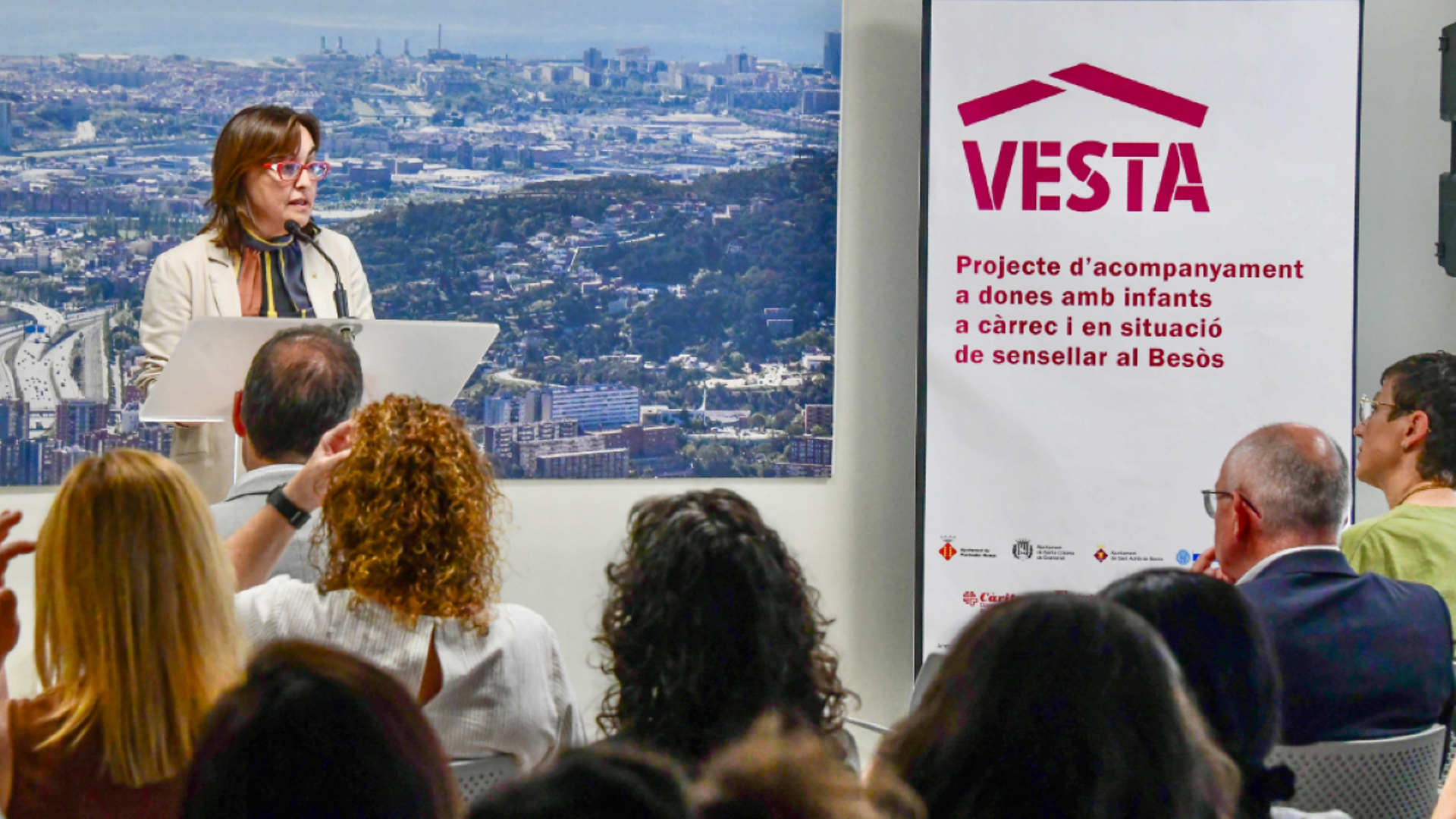 Presentación de VESTA