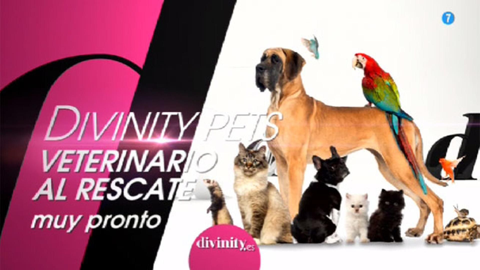 'Veterinario al rescate', pronto en Divinity