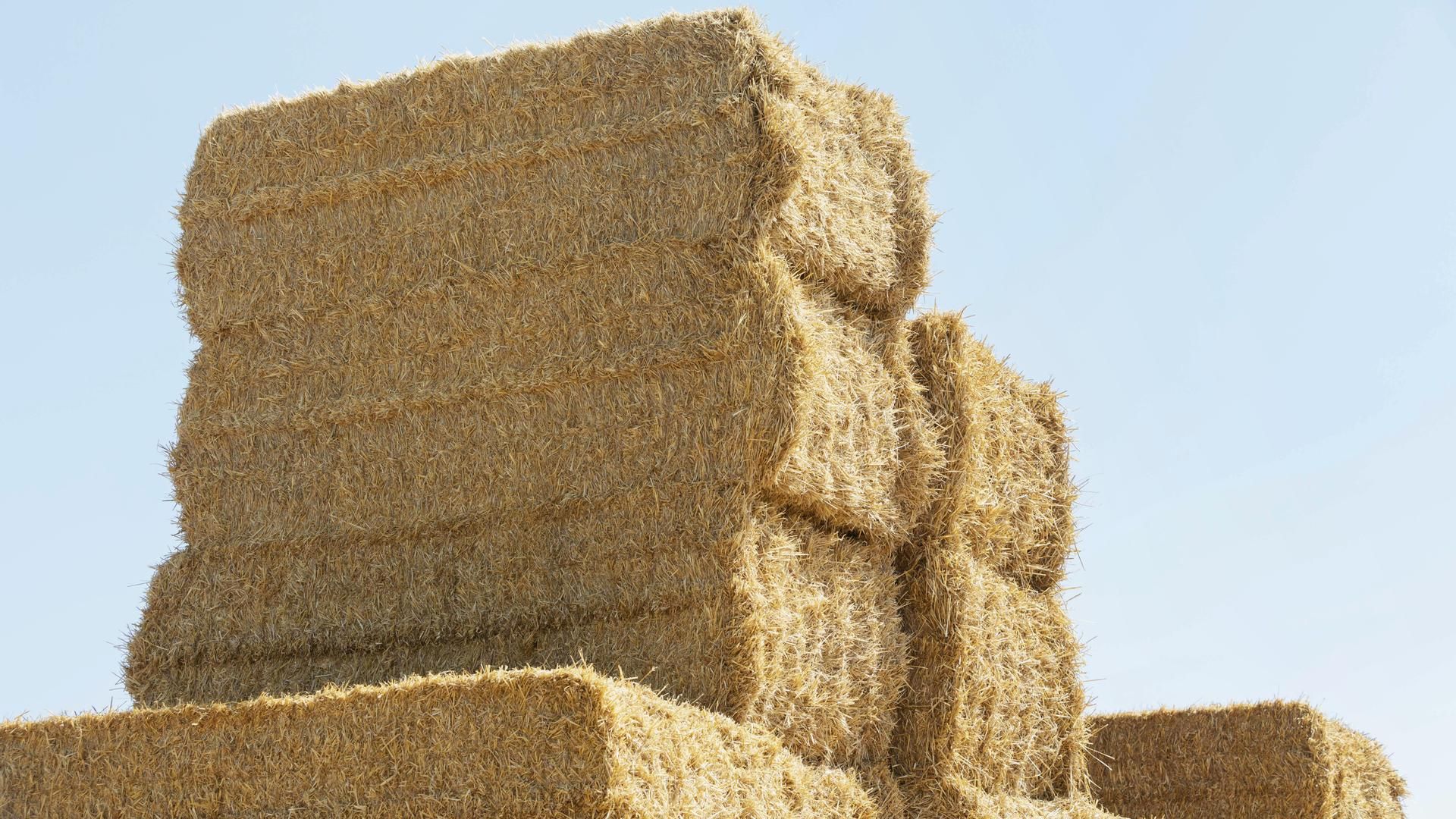 Varias pacas de paja amontonadas