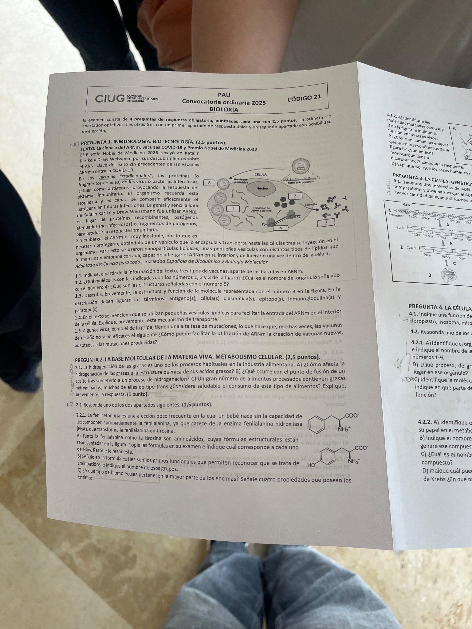 Examen de Biología de la PAU 2025 Galicia