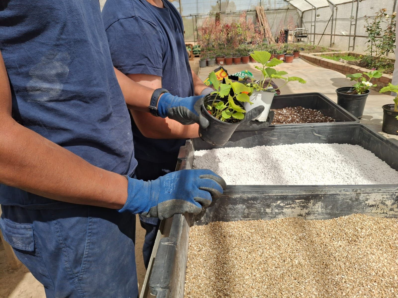 Jóvenes realizando la actividad