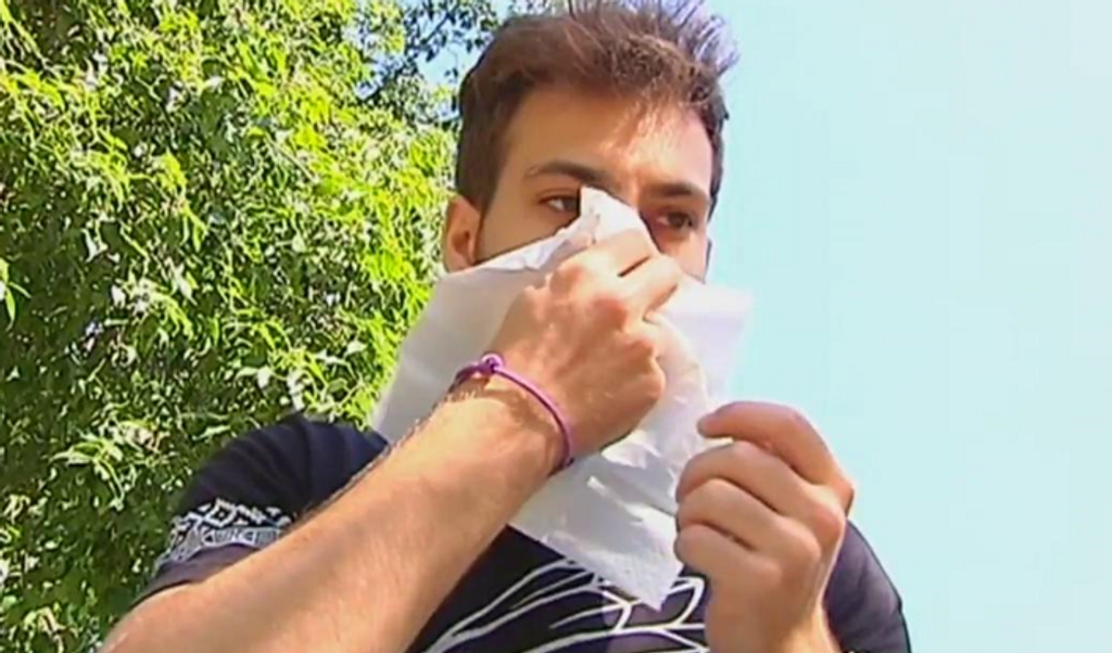 La temporada de alergia se prolonga en junio: los motivos por los que se puede agravar aún más este mes