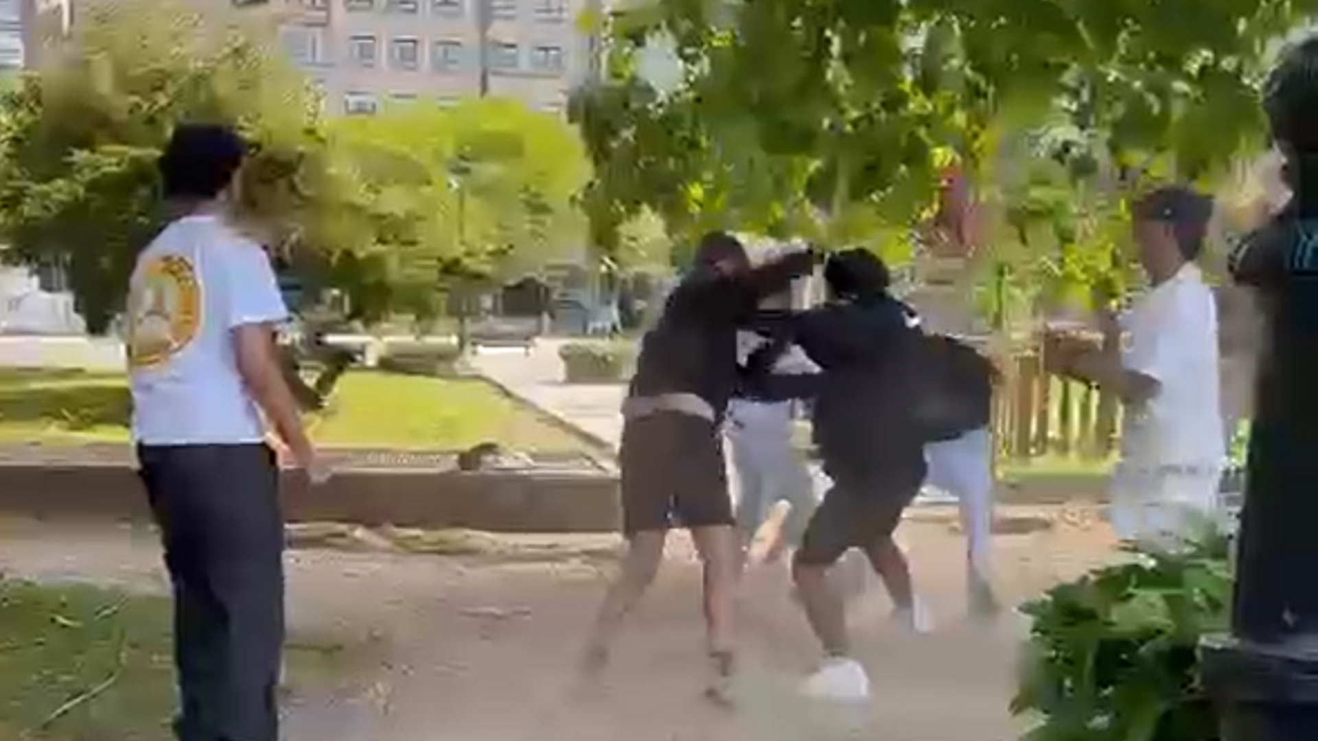 Momento de la pelea en la Plaza de Barcelos en Pontevedra