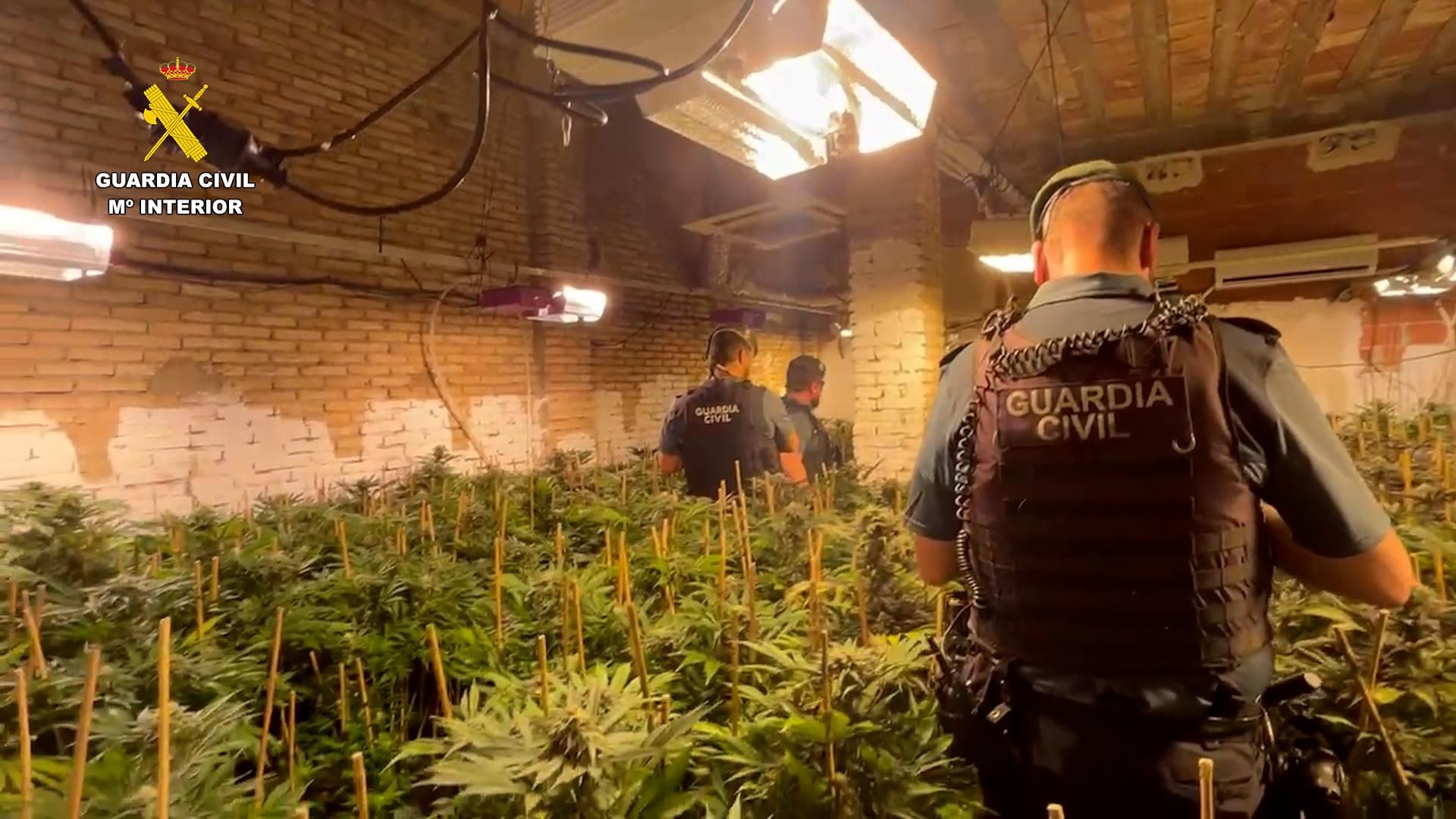 Agentes de la Guardia Civil en una de las plantaciones