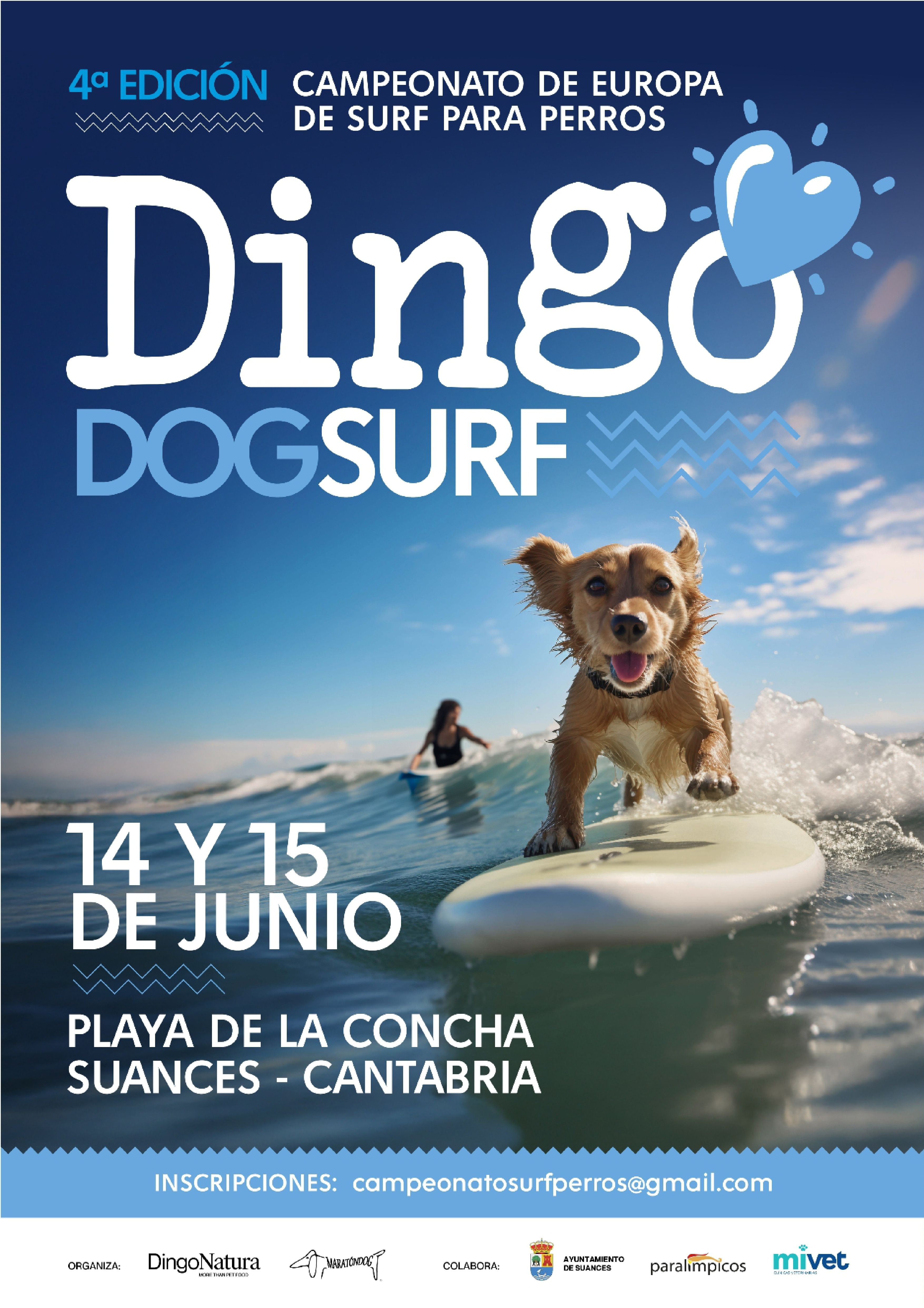 Cartel de Dingodog Surf