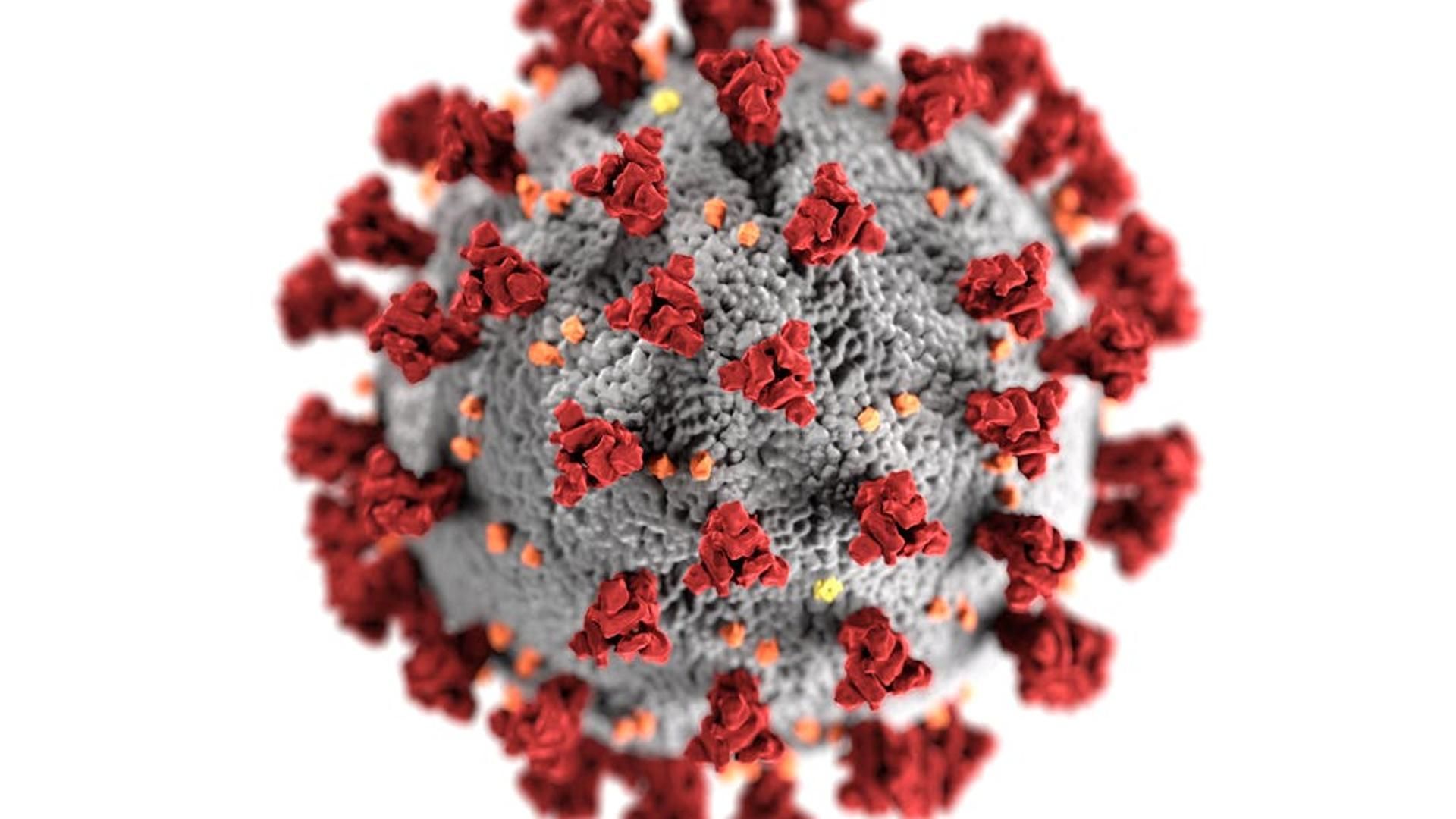 Foto de virus Foto de virus
