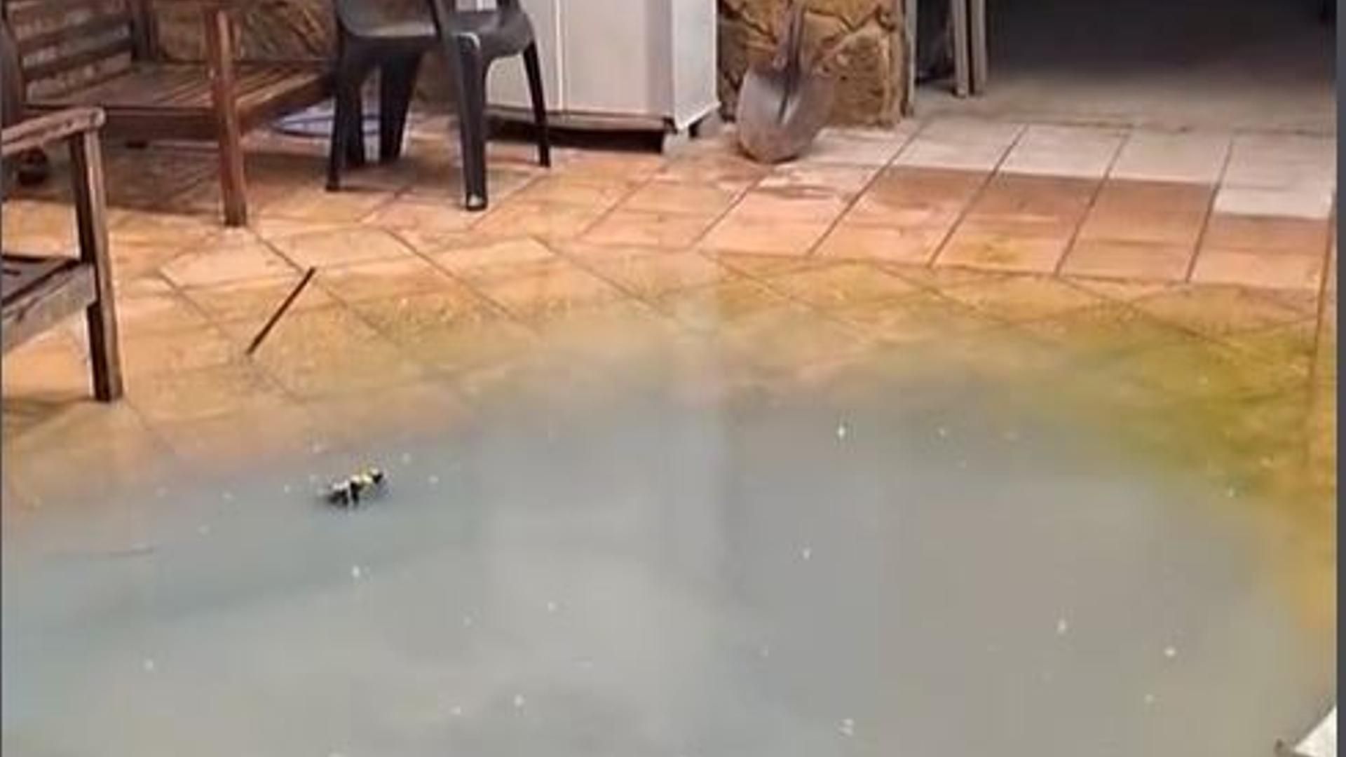 Patio de una  casa anegado en Catarroja