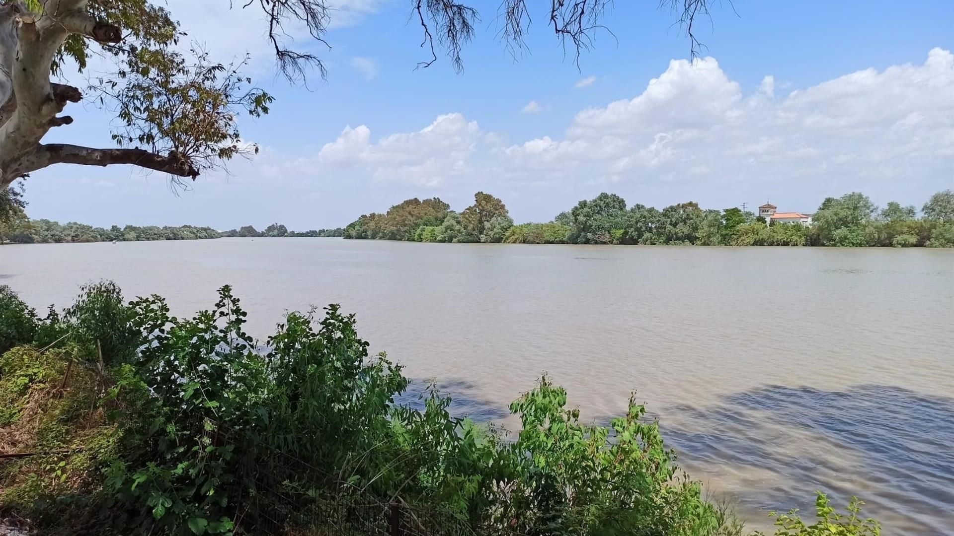 Imagen de archivo de un paraje natural en la comarca del Bajo Guadalquivir