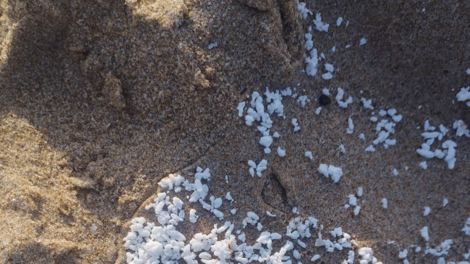 Bolitas blancas del vertido