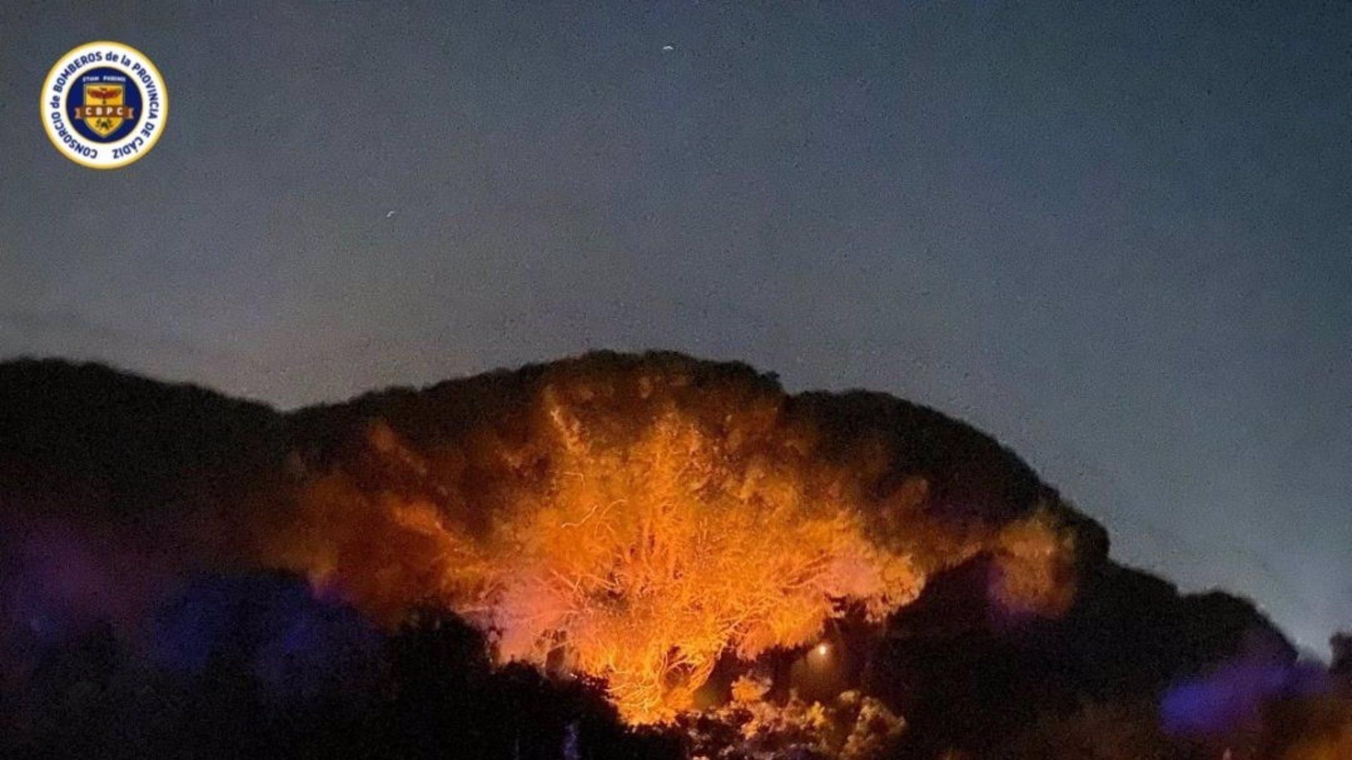 Incendio el paraje Dehesa de Yeguas, en el término municipal de Puerto Real (Cádiz)