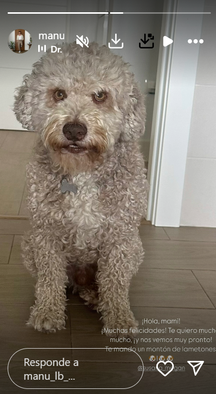 Manu Lombardo también ha tenido un detalle con su ex Susana Megan en el que ha participado su mascota en común