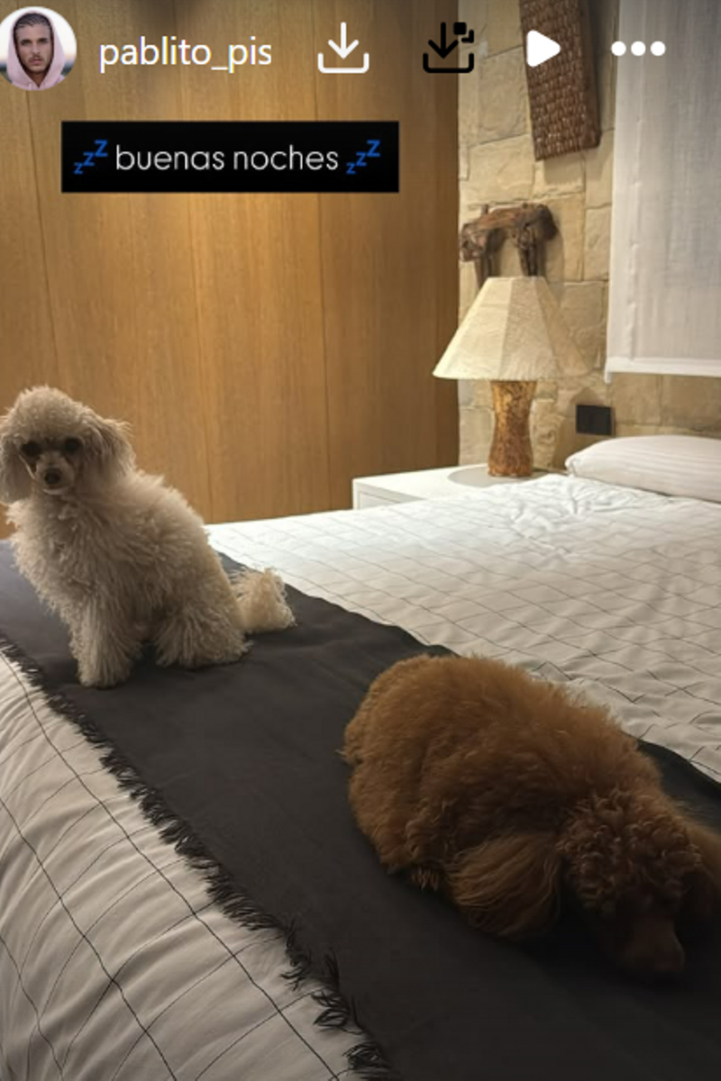 Pablo Pisa se ha llevado a sus perros a la casa de sus padres