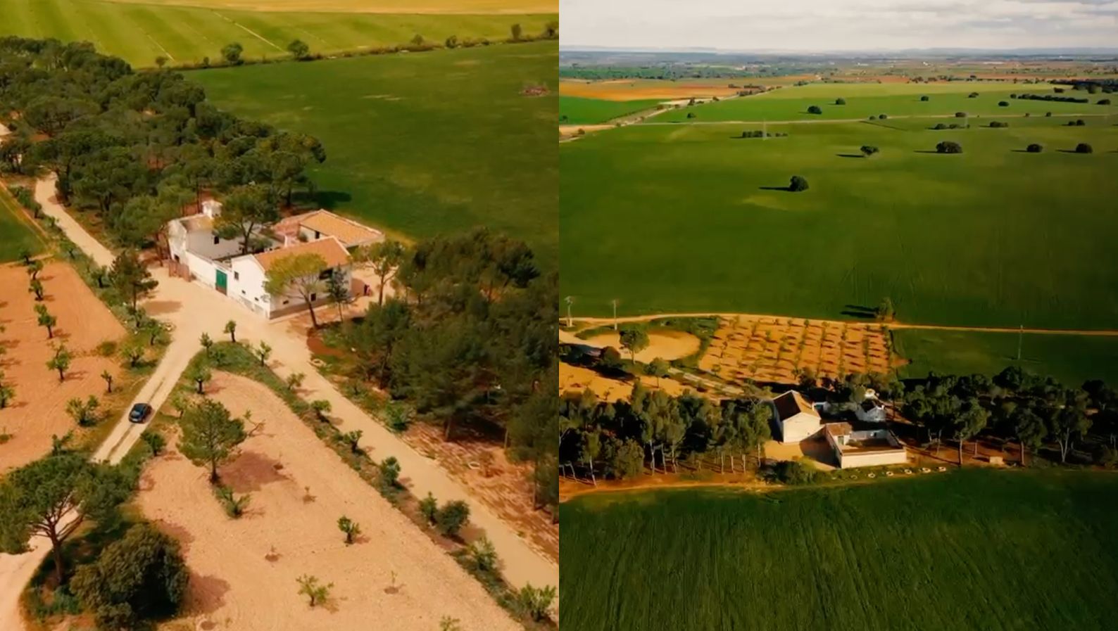 Vista aérea de la finca 'Los Pinillos'