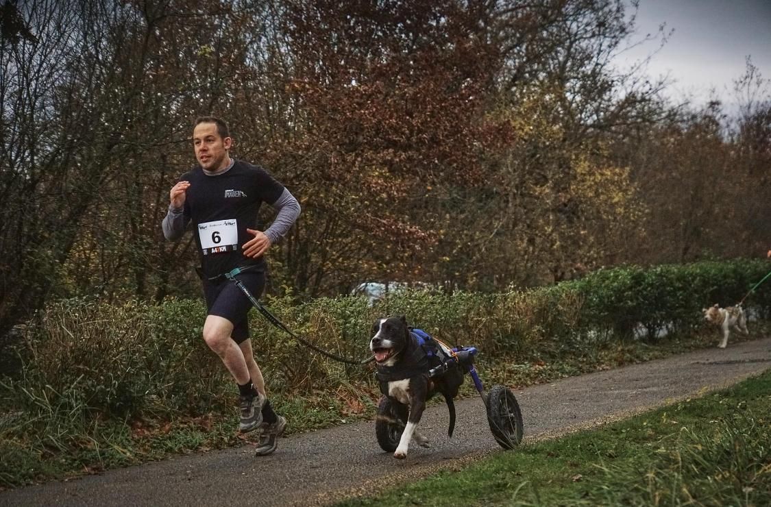 Diego sale a correr con Dom, "es importante que no pierda la musculatura de las patas delanteras"