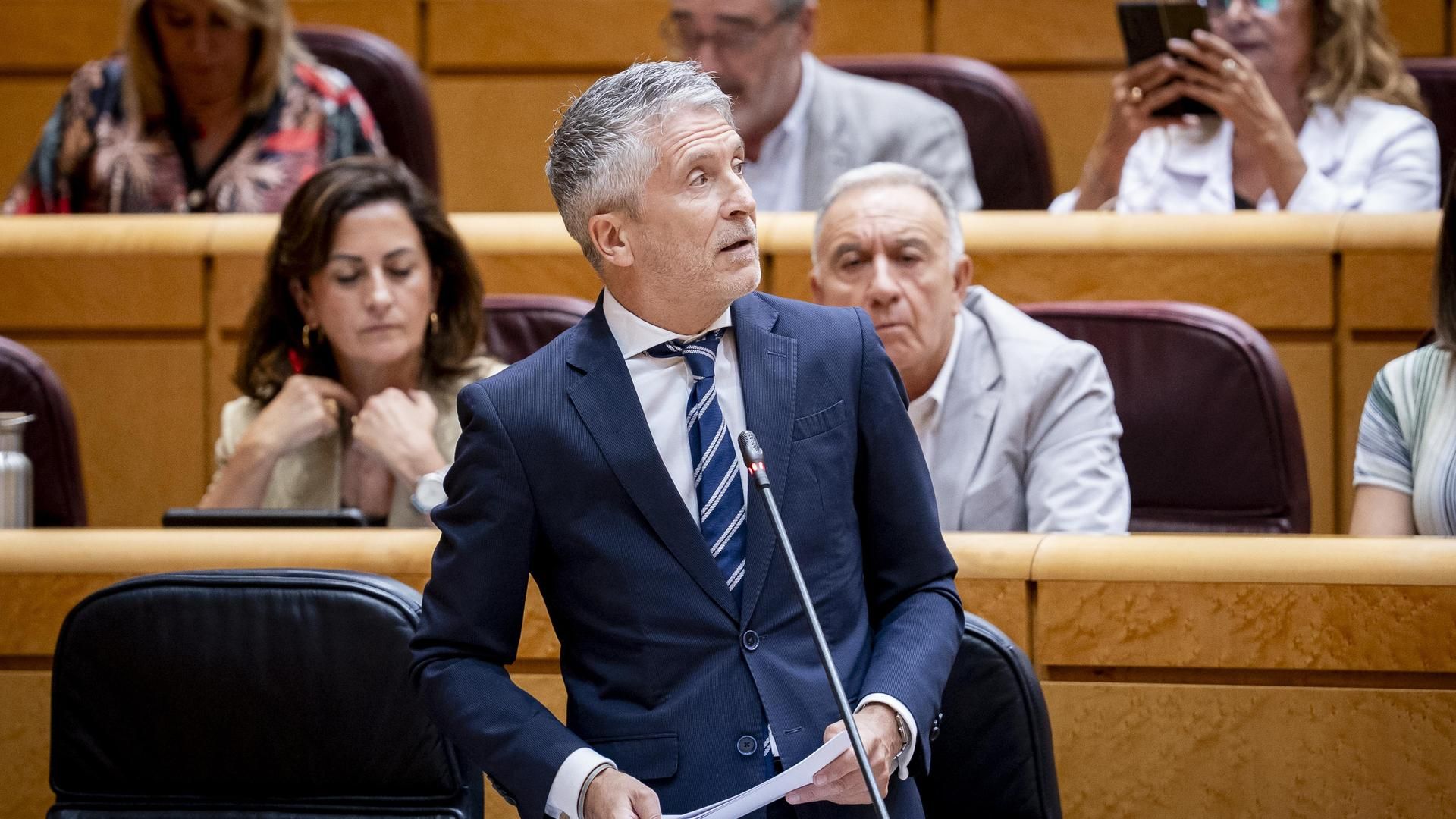 El ministro de Interior, Fernando Grande Marlaska, en el Senado