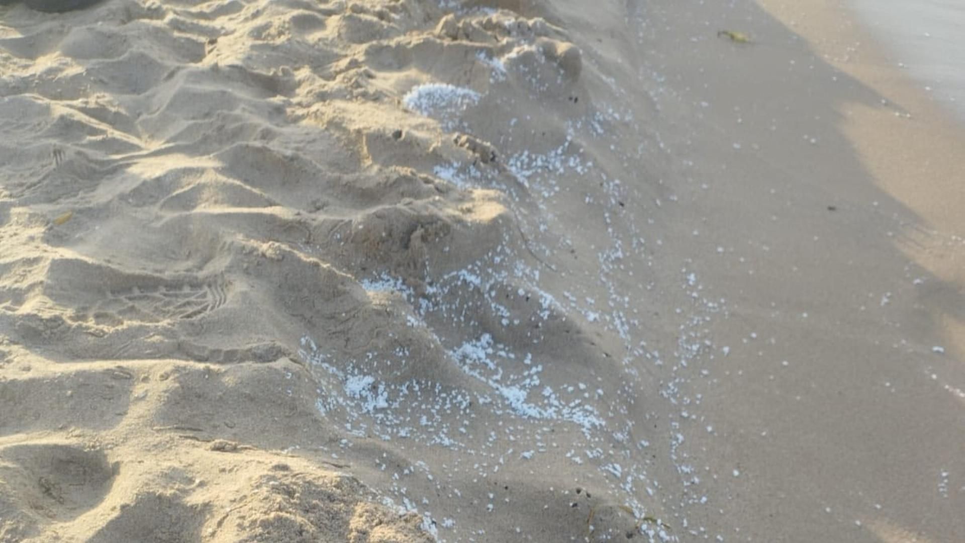 Vertido en las playas