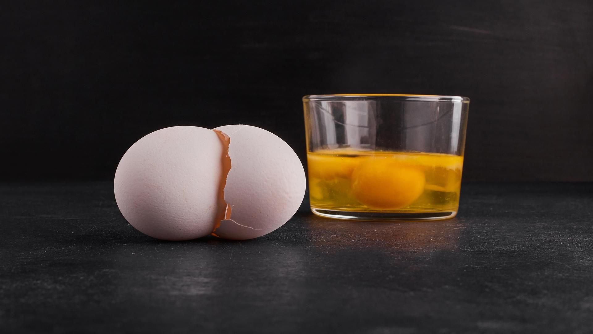 Eggshells and yolk inside a cup Eggshells and yolk inside a cup