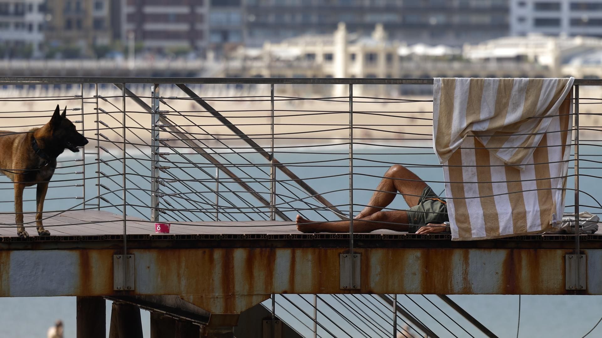 Un hombre toma el sol acompañado de su perro en la pasarela del Club Naútico de San Sebastián.