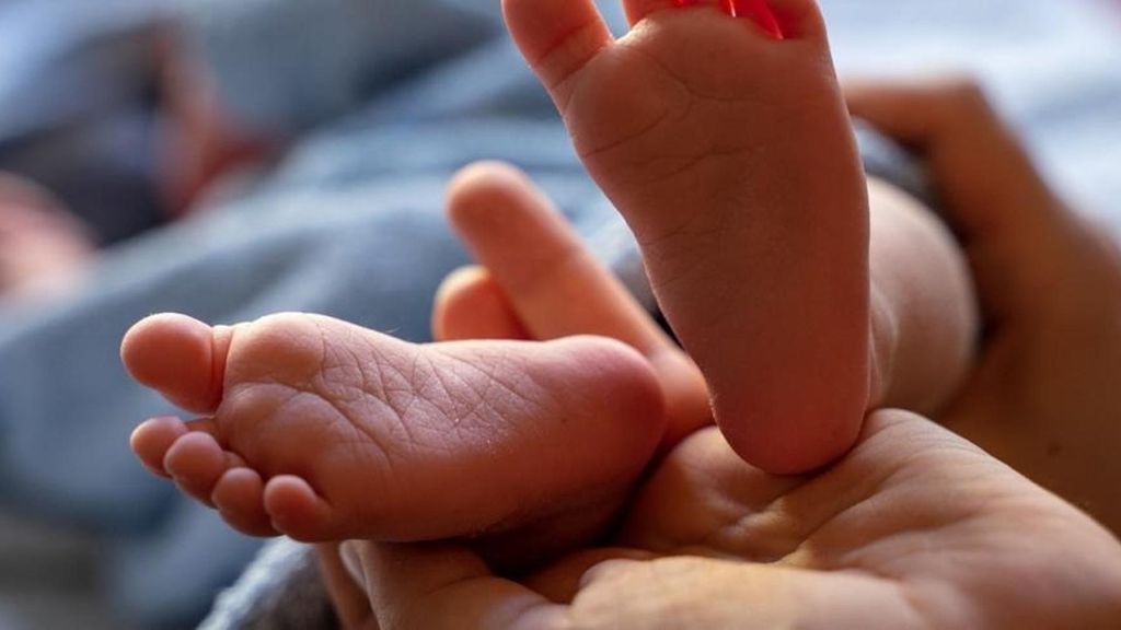 Una empresa biotecnológica ofrece por 5.000 euros seleccionar embriones longevos para que los futuros hijos vivan más