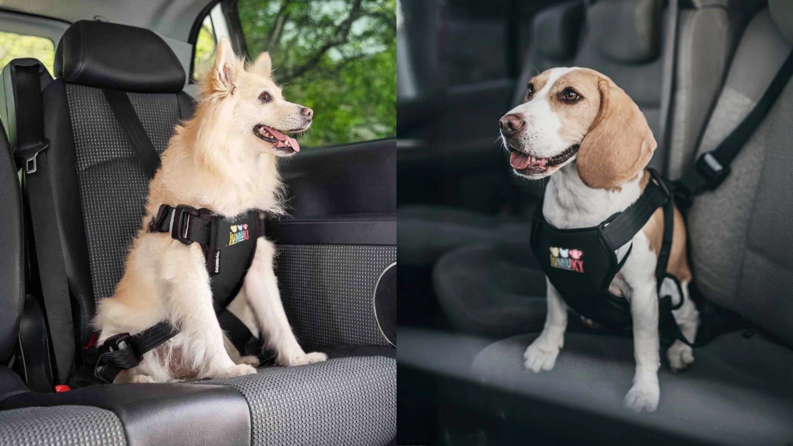 El arnés para perros del IUMIUKY