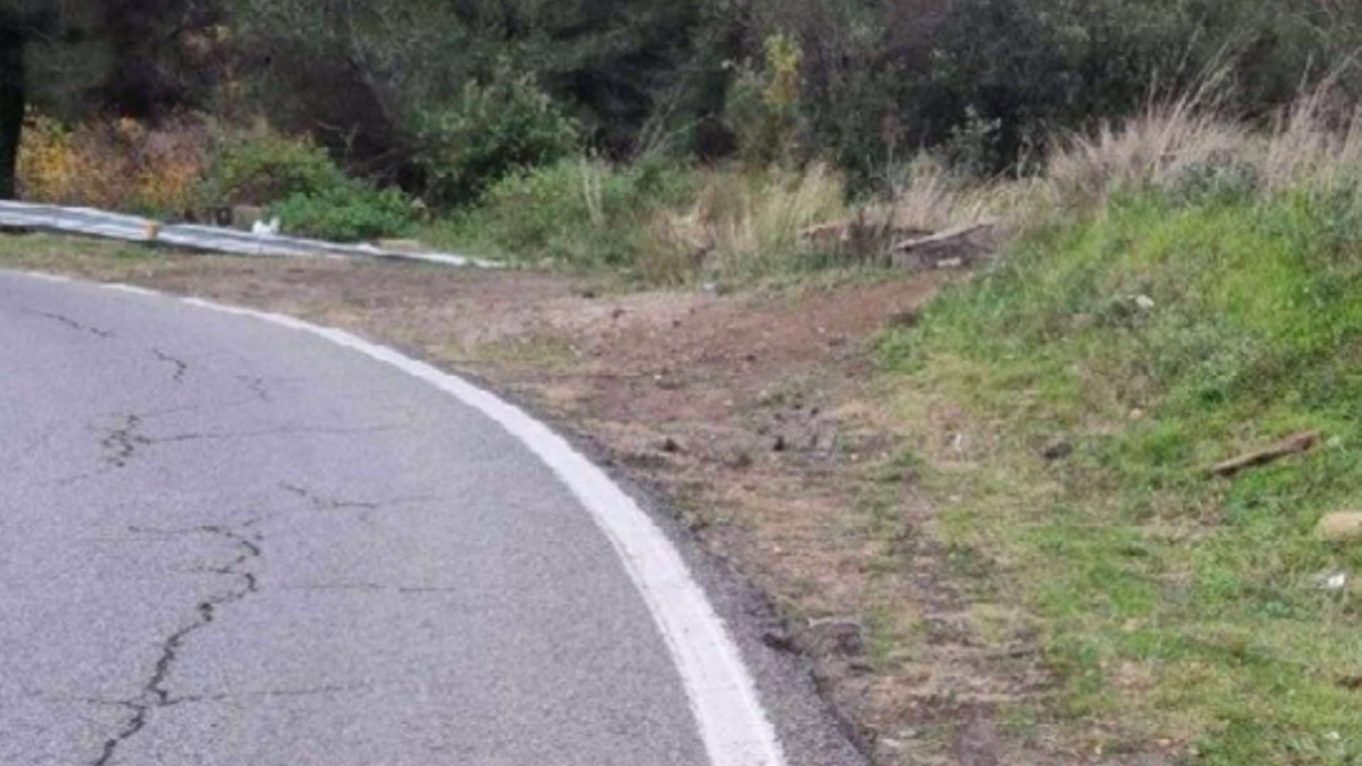 La curva en la que se produjo el accidente de tráfico