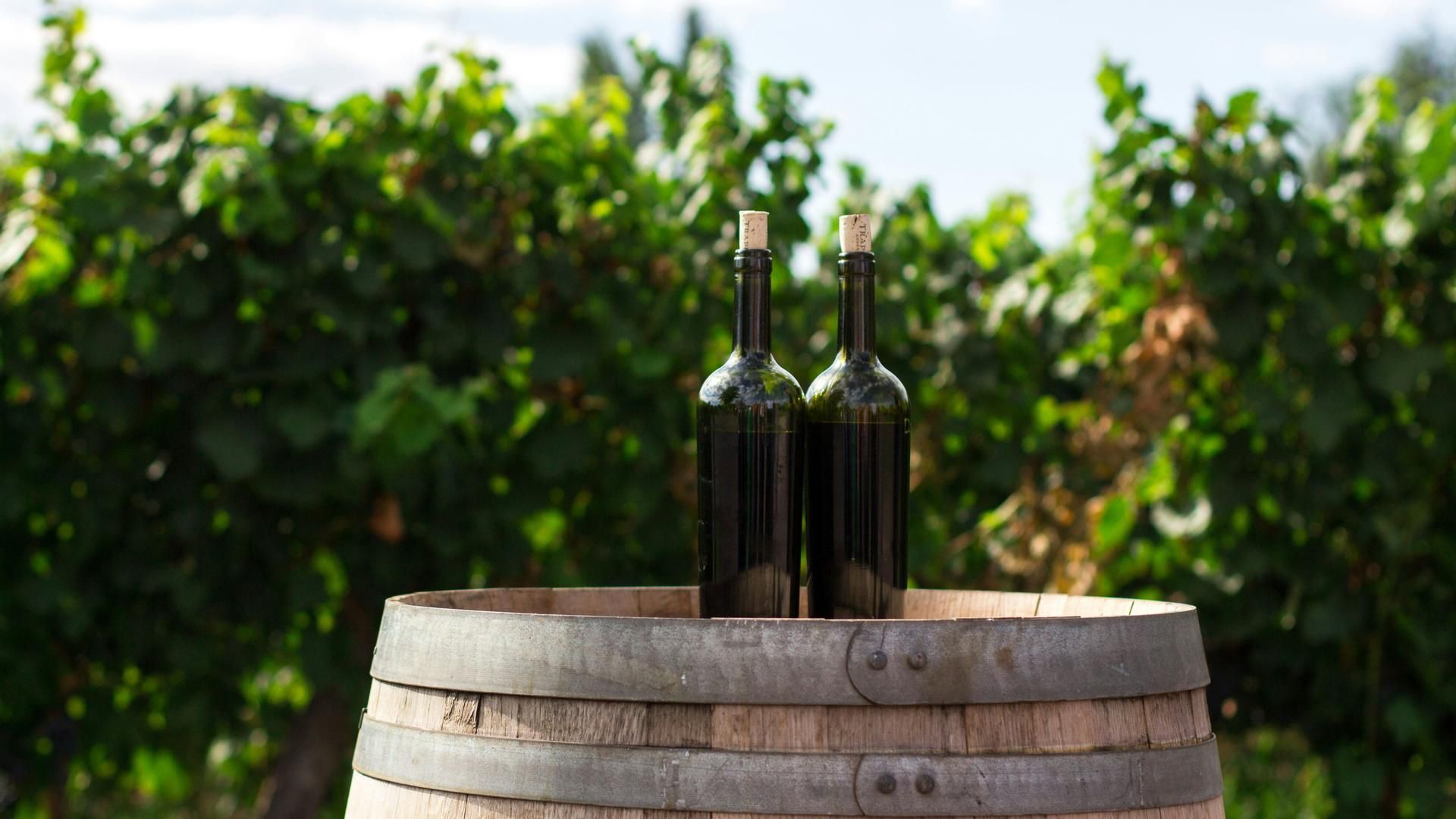Vinos sin alcohol, una tendencia al alza