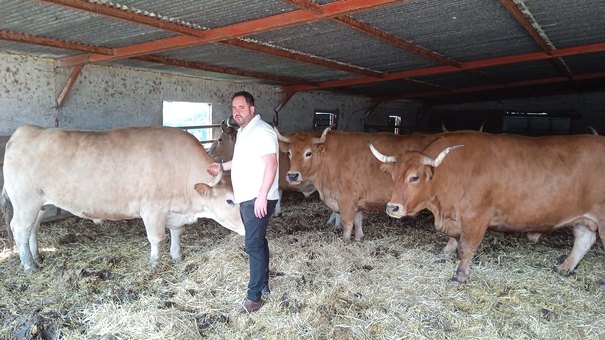 Txema Llamosas denunció el robo del ejemplar tras buscarlo durante días sin hallar nada