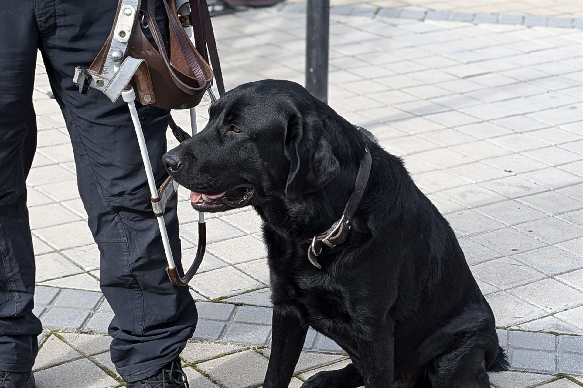 Primer plan nacional de atención temprana: 42 millones y un aliado clave para niños con autismo