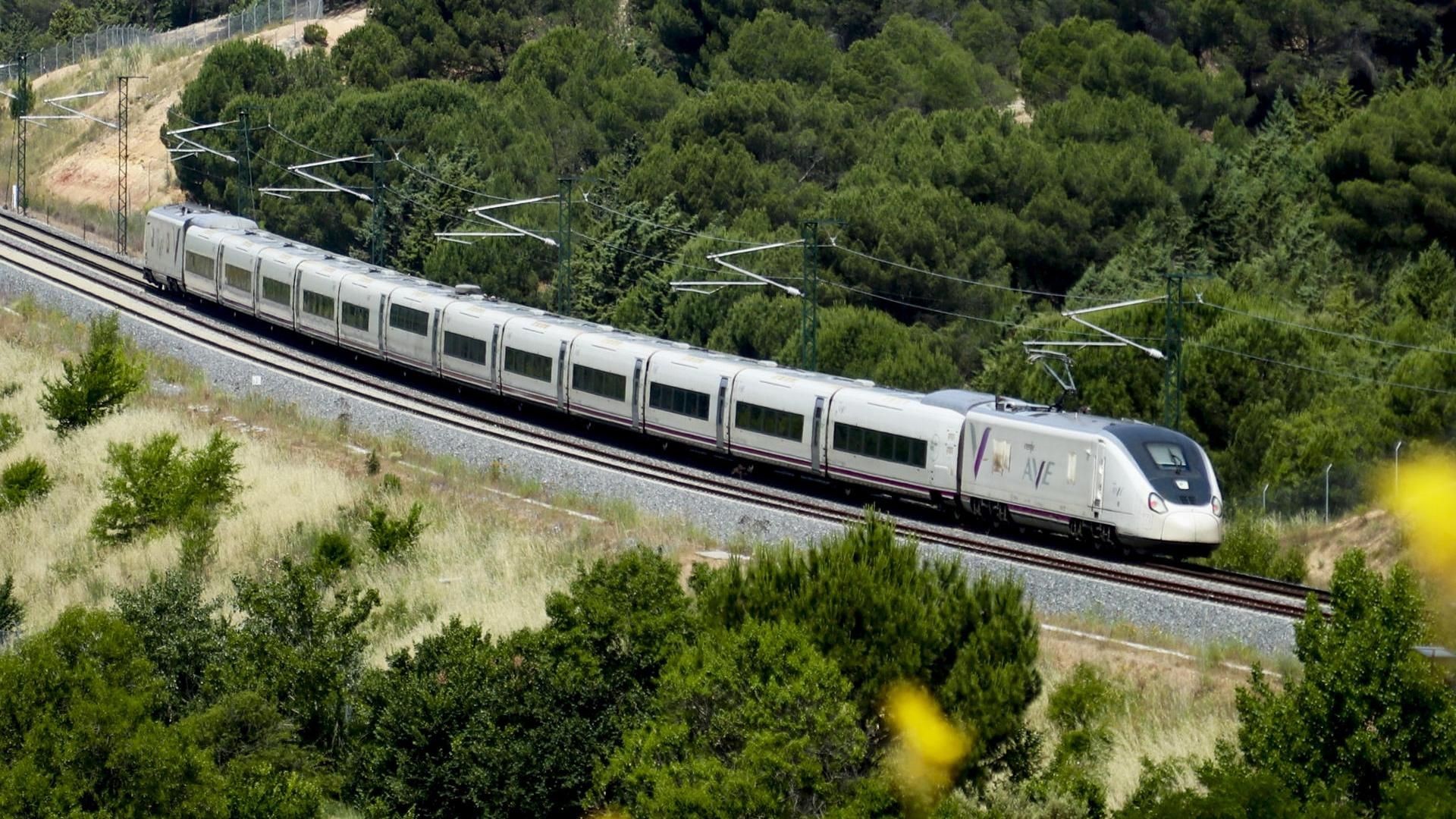 Vista de un tren AVE a su paso por la capital zamorana