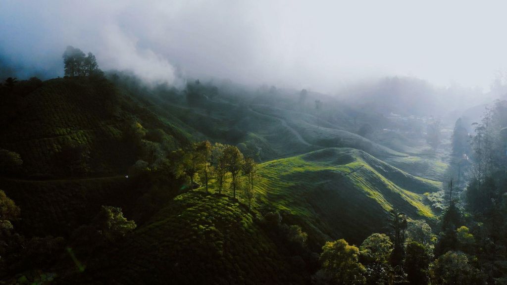 Guía de viaje de Sri Lanka: Templos, paisajes paradisíacos y multitud de safaris