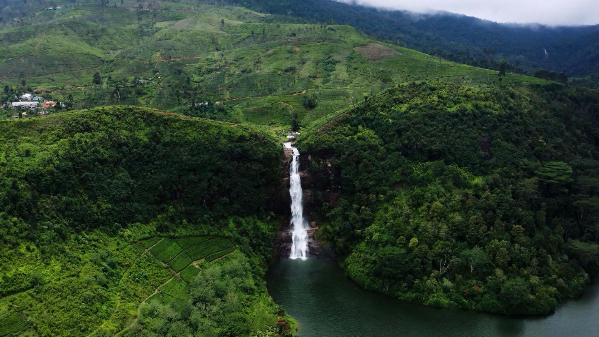 Independientemente del sitio en el que te quedes en Sri Lanka, estarás rodeado de naturaleza