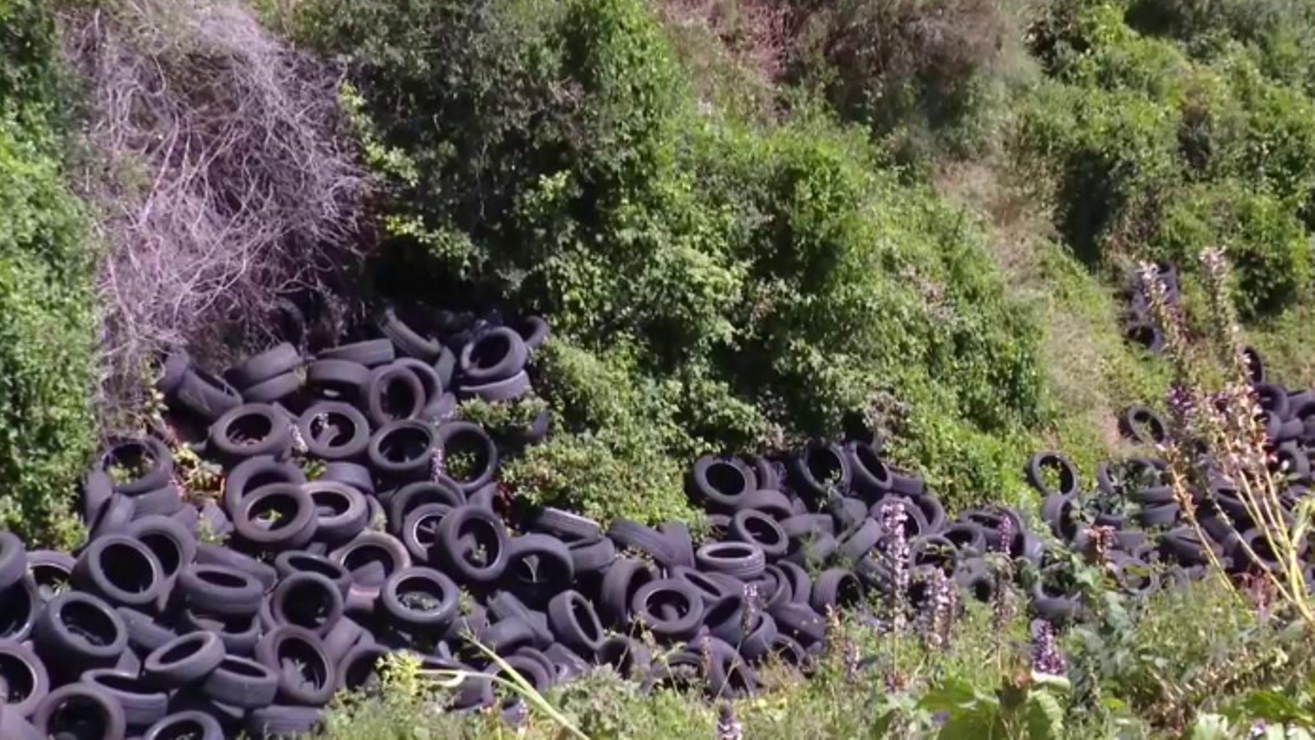 Neumáticos vertidos en Collserola