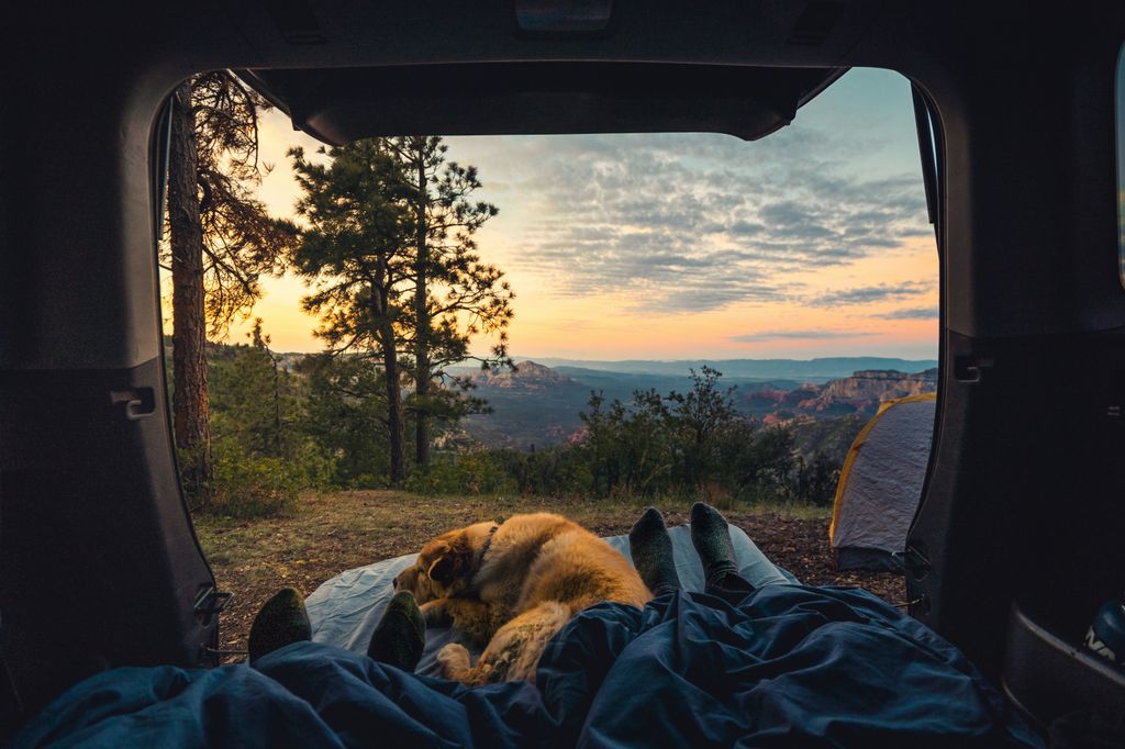 camping unsplash