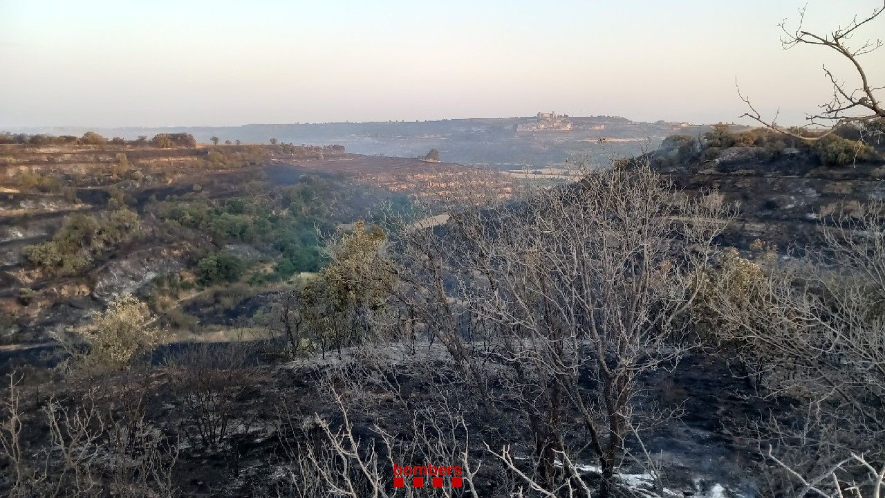 Zona agrícola quemada en el incendio de Granyena de Segarra, Lleida