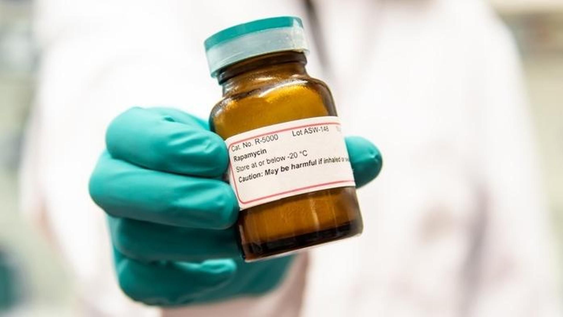 La rapamicina es actualmente el fármaco antienvejecimiento más prometedor.