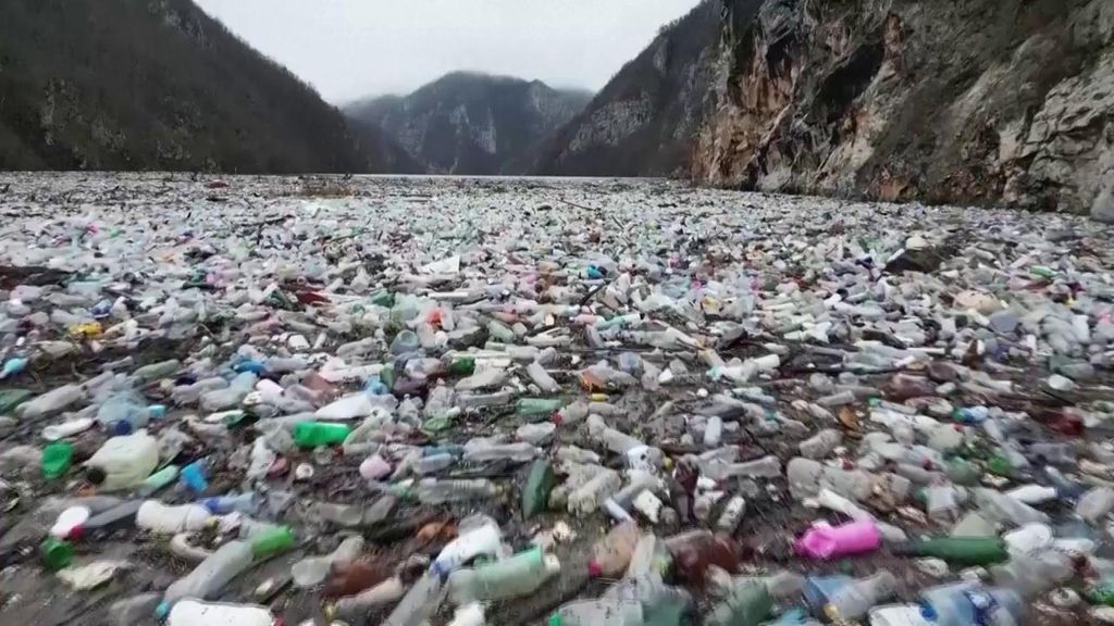 Una bacteria convierte kilómetros de plástico en paracetamol: la doble ventaja del descubrimiento