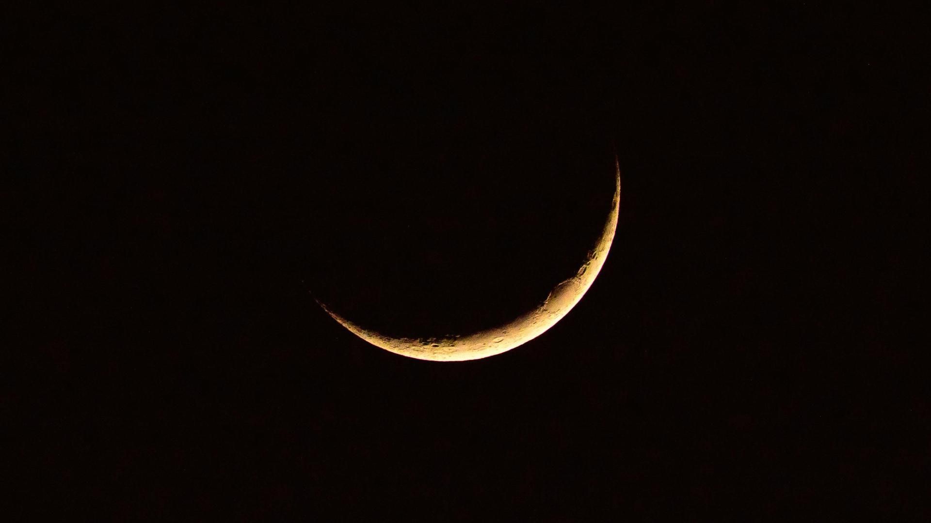 Luna nueva Luna nueva