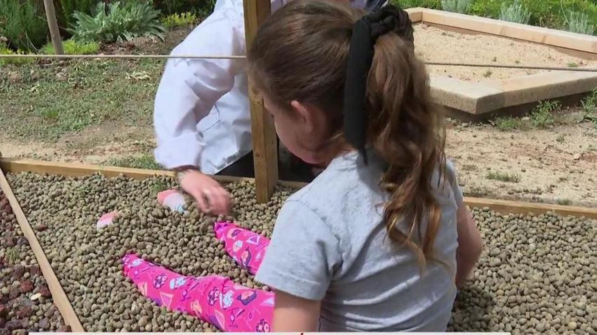 Mediaset y la Fundación Querer se unen para concienciar sobre las enfermedades raras en la infancia