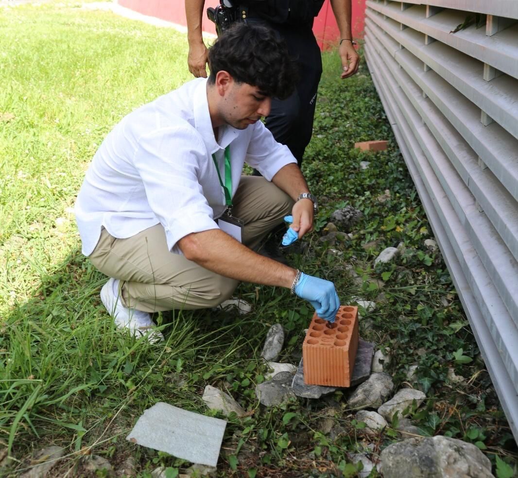 Reproduce los compuestos volátiles clave presentes en cadáveres durante las primeras 24 horas