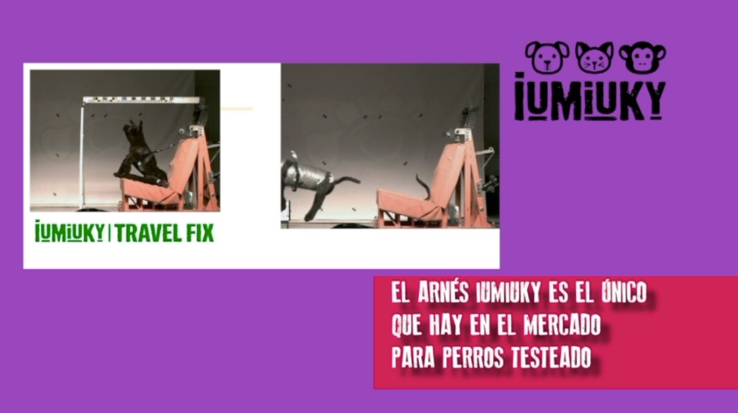 arnes de viaje para perros iumiuky premio