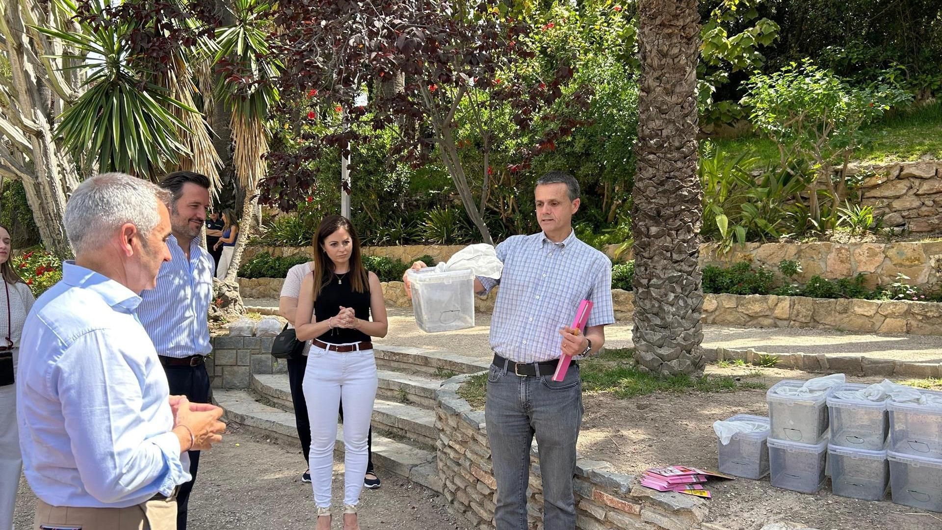 Mosquitos tigre liberados en Elche