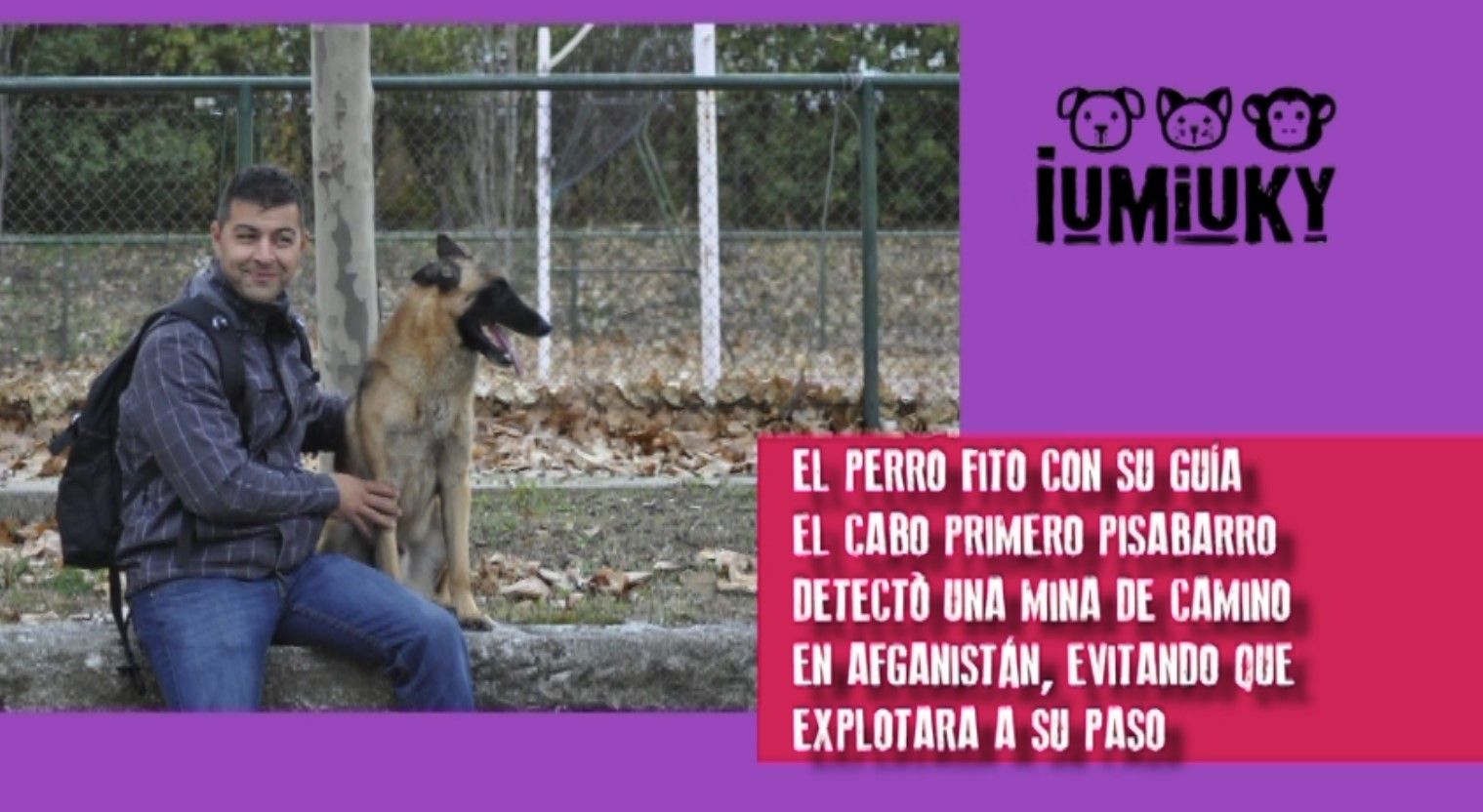 perro militar del CEMILCANDEF