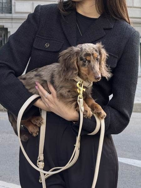 Pet parenting