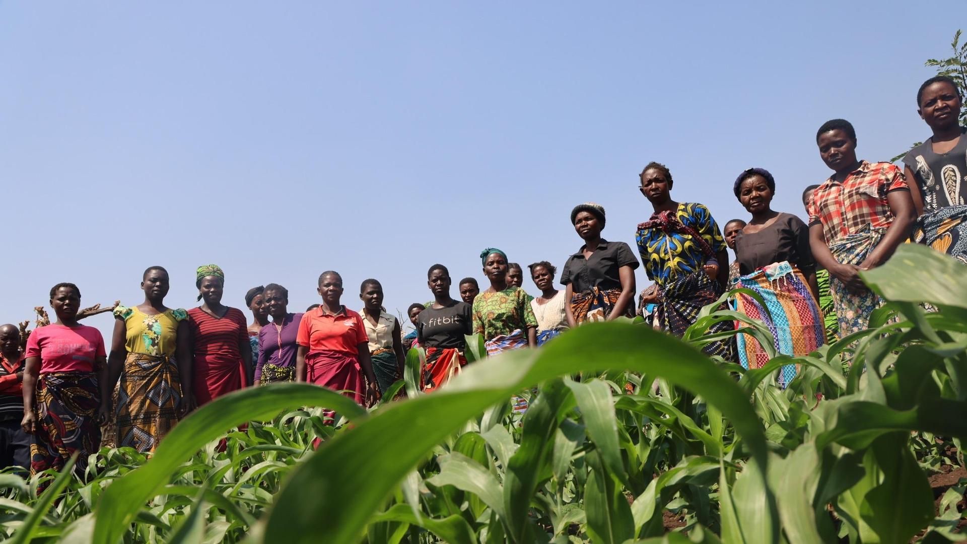Imagen de archivo de mujeres participantes en una escuela agraria de Oxfam en Malaui