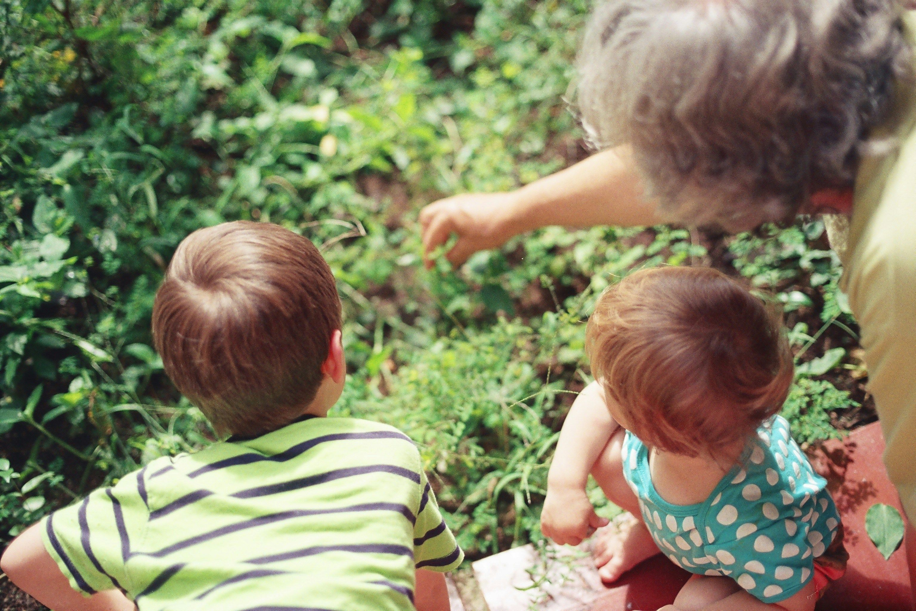 abuelos unsplash