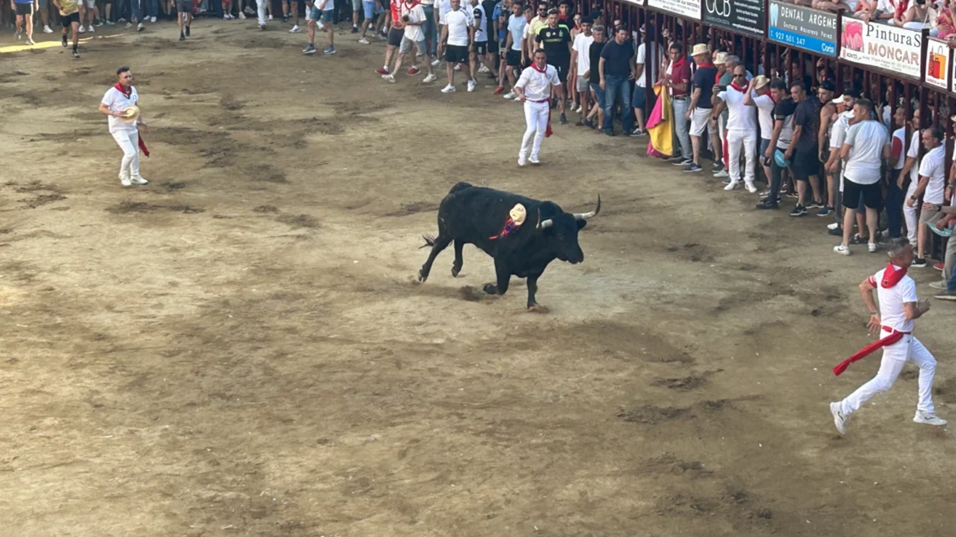 Encierros de los Sanjuanes de Coria (Cáceres), declarados de Interés Turístico Nacional