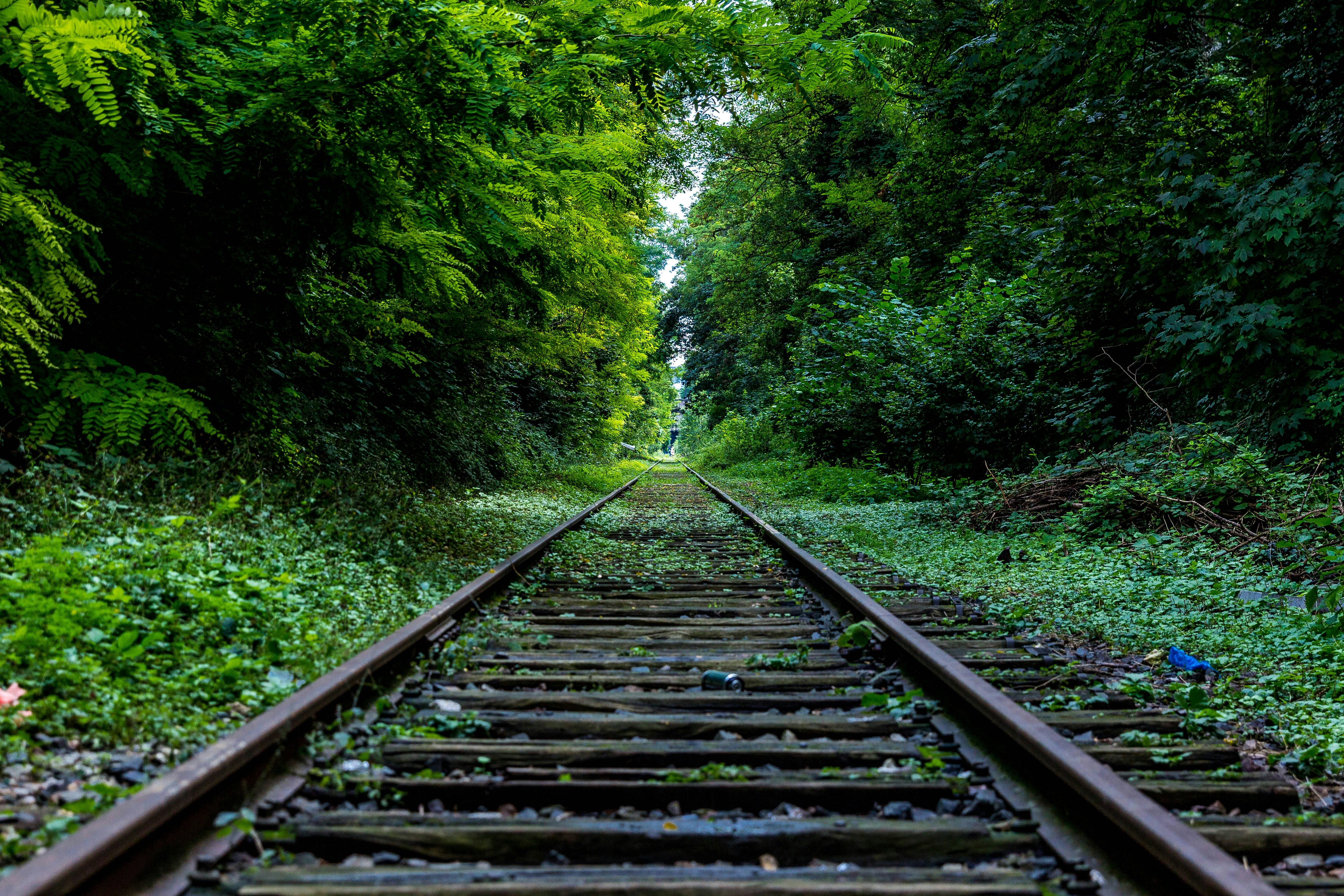 viajes en tren unsplash